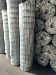 Galvanized Welded Wire Mesh - Image 2