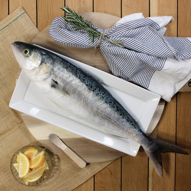 Frozen Mackerel Fish Ocean Fresh Selection With Superior Nutritional Profile For Seafood Wholesalers Worldwide - Image 3
