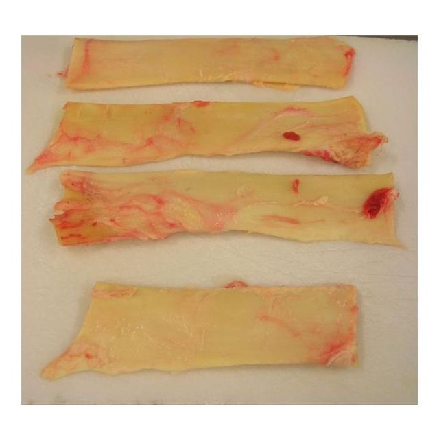 Wholesale Bulk Buy Frozen Beef Paddywack Best Price – product photo 4, product detail gallery