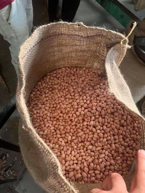 BRAZILLIAN RUNNER PEANUTS - Image 1