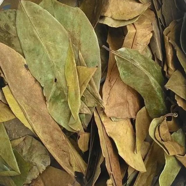 Dried Soursop Leaf, A - Image 1