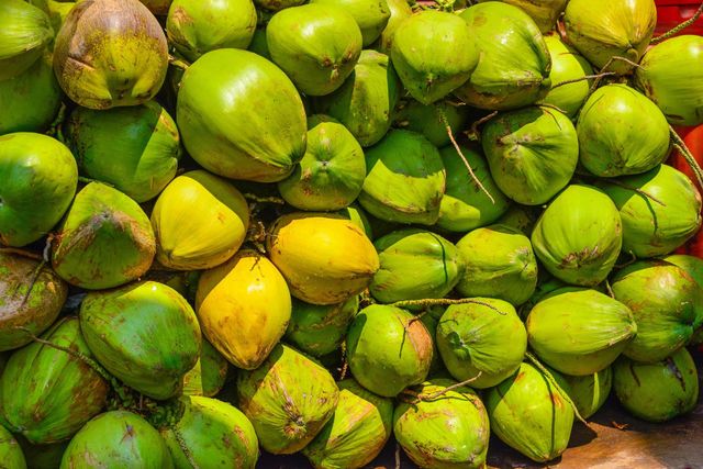 Green Coconut – product photo 1, product detail gallery