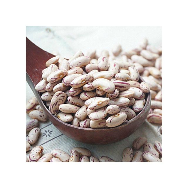 Dried sugar beans available for bulk export to food industry - Image 5