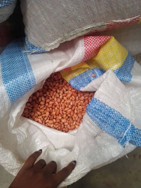 Buy Premium Peanuts -Fresh Crunchy and Health snacks for Export worldwide-samples available - Image 3