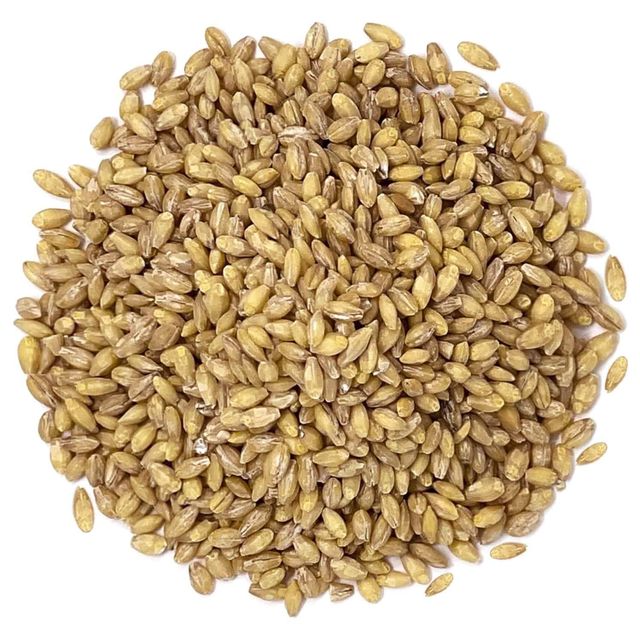 Barley grain wholesale bulk stock available with quality certification - Image 4