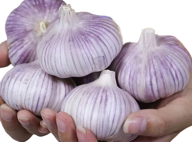 Garlic fresh pure white garlic wholesale fresh vegetables 20kg mesh bag fresh white garlic - Image 5