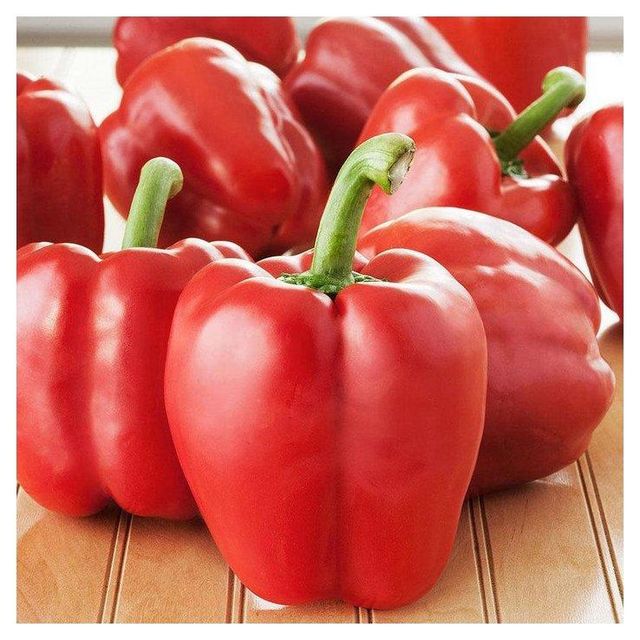 fresh Bell Peppers , Yellow Red Green Cooking Agriculture Fresh Capsicum - Image 3