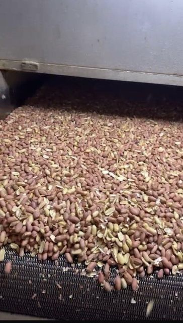 Blanched Peanuts - Image 1