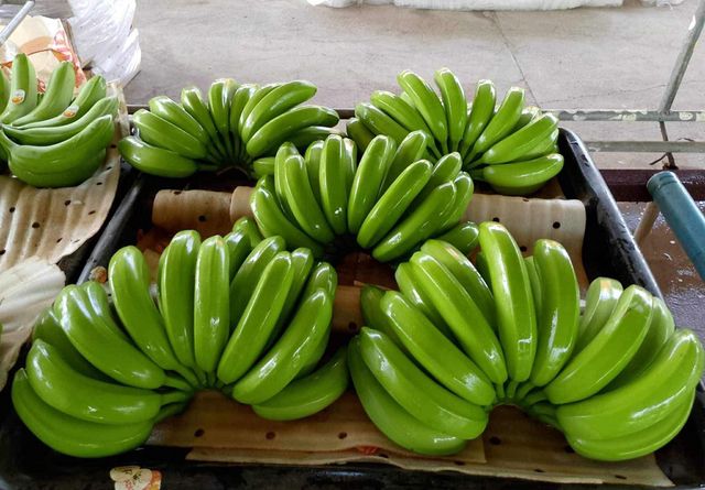 Fresh Cavendish Bananas - Image 2
