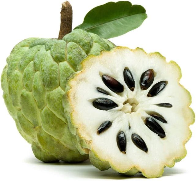 Premium Fresh Custard Apple (Sitaphal) – Maharashtra, India | Large Size | Export Quality - Image 3