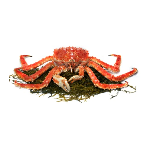 Wholesale Cheap Price Best Quality Live Red king crab For Sale Worldwide Exports - Image 3