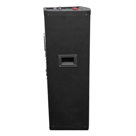 Wireless Microphone Speaker 10 Inch Bluetooth Party Speaker - Image 5