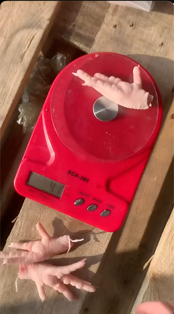 Frozen Chicken Feet Cut Other Freshness Level Frozen Degree of Processing Unprocessed Features No Artificial Flavors, No Preservatives, Without Colourants - Image 2