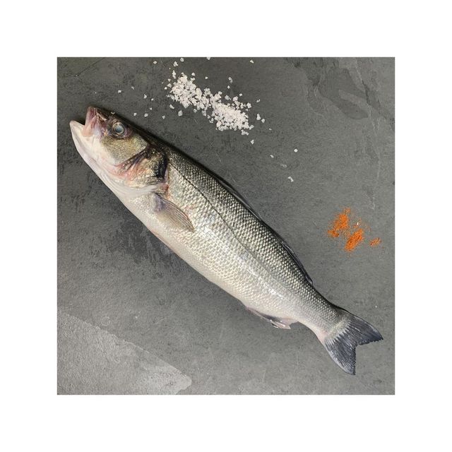 Frozen Sea Bass Fish Carefully Handled Seafood Offering Excellent Moisture Balance And Attractive Market Presentation - Image 5