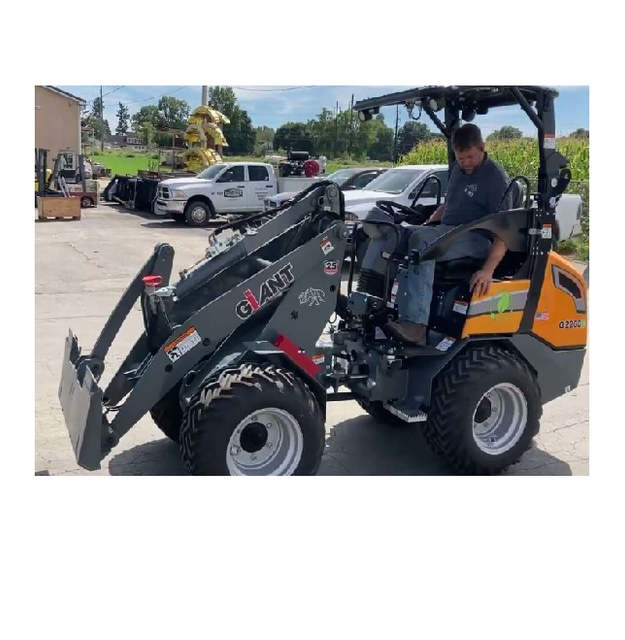 Cheap Giant Compact Loader For Sale - Image 5
