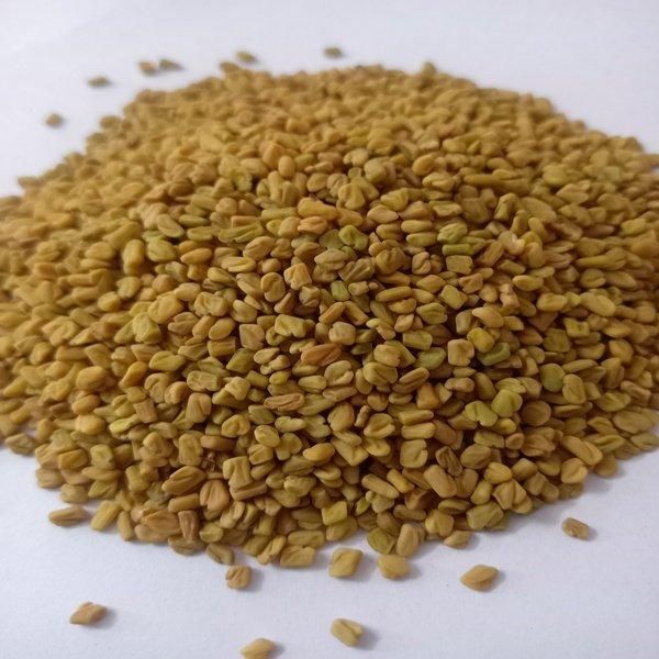 Export Grade Fenugreek Seeds in Bulk – Cleaned, Sun-Dried, and Machine-Sorted Premium Spice for Food Processing, Herbal Formulations, and Agricultural Supply Chains, Offering Strong Aroma, High Nutritional Value, Long Shelf Life, and Consistent Quality Suitable for Wholesale Buyers, International Traders, and Manufacturing Industries Seeking Reliable Raw Material Supply with competitive pricing and global shipping support - Image 3
