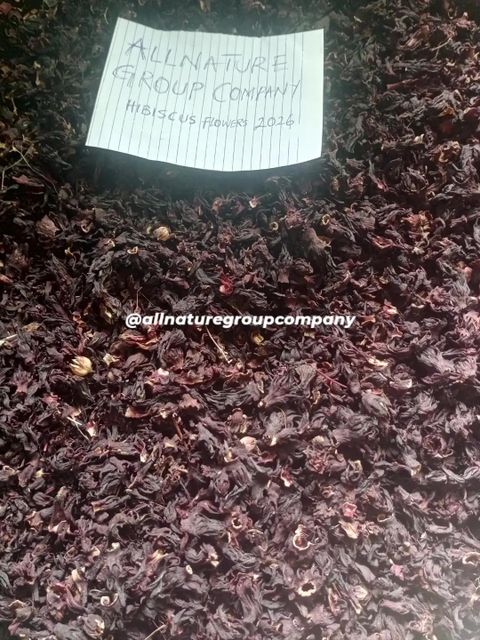 DRIED HIBISCUS FLOWERS SABDARIFFA - Image 4
