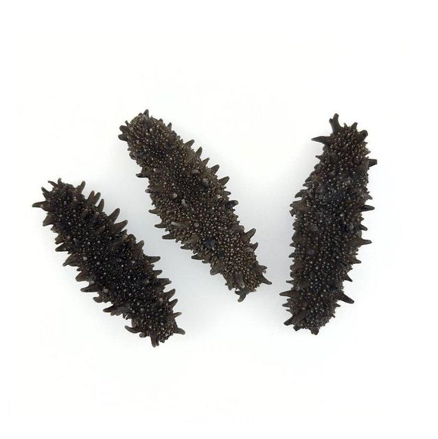 Wholesale Cheap Price Best Quality Dried Sea Cucumber For Sale Worldwide Exports - Image 5