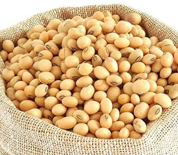 Soya Beans - Image 5