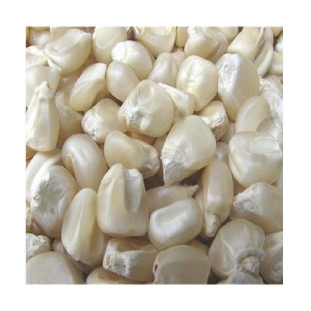Top Selling Non GMO Yellow Maize Corn/ Yellow Corn & White Corn/Air Dried Yellow Maize Corn for Sale - Image 2