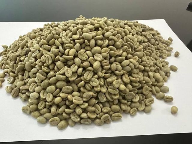 Brazil Santos Green Coffee Beans - Image 2