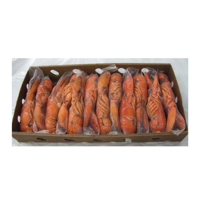 Competitive Price SPINY LOBSTER/ FROZEN RAW LOBSTER Export Standard - Image 4