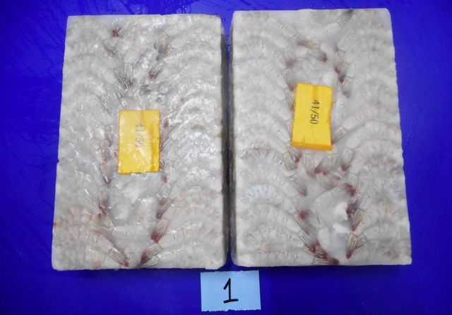Shrimps - Image 1