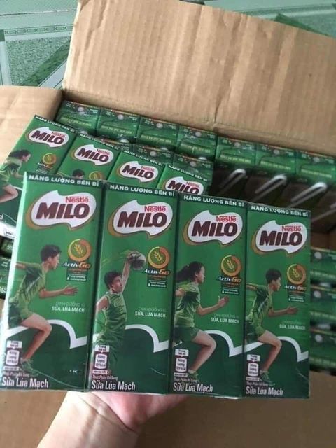Classic Nestle Milo Rich Chocolate Malt Mix Premium Taste Wholesale Price Trusted Family Energy Drink - Image 5
