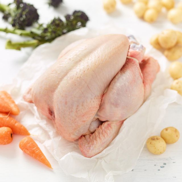 Frozen Chicken Whole Cuts Frozen Chicken Ready For Retail And Hospitality Industry With Quick Delivery Service - Image 4