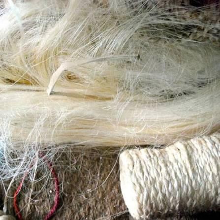 High Purity Sisal Fiber Wholesale Bulk Factory Sale Low Moisture Eco Friendly Natural - Image 5