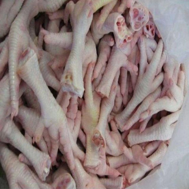 Wholesale Frozen Chicken Feet and Premium Halal Chicken Paws for Global Buyers - Image 6