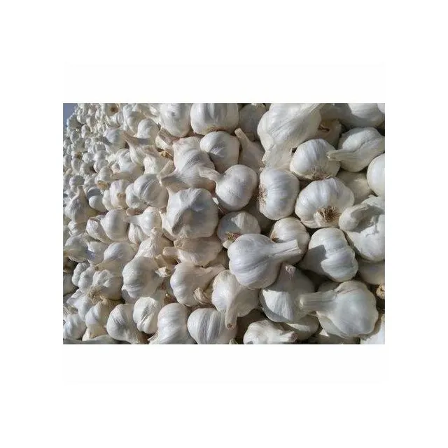 Garlic pure white garlic top grade snow white wholesale new crop fresh white garlic - Image 3