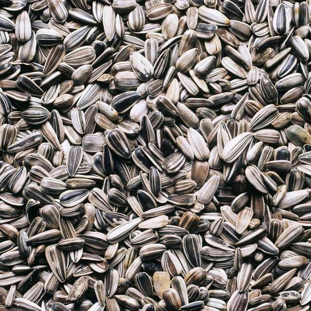 Farm Fresh Raw Sunflower Seeds Bulk Shipment Sunflower Seeds For Roasting Factories And Processing Plants - Image 4