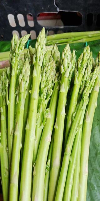 Frozen/ Fresh Asparagus Vegetables Wholesale From Vietnam - Whatsap 0084 989 322 607 - Image 5