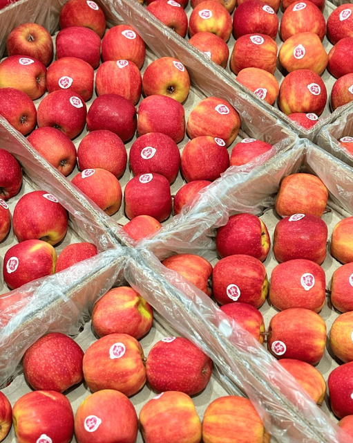 MOST POPULAR VIBRANT PINK-RED SKIN COLOR LADY APPLES, PREMIUM FRESH SWEET TART BALANCED FLAVOR PINK LADY APPLES 18KG SALE - Image 4