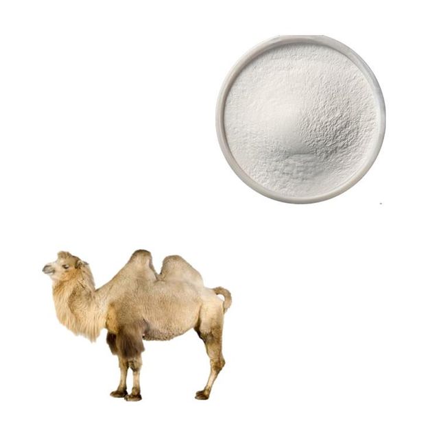 Bulk 1000kg milk powder /Camel Milk Powder /Sheep Milk Powder Available - Image 5