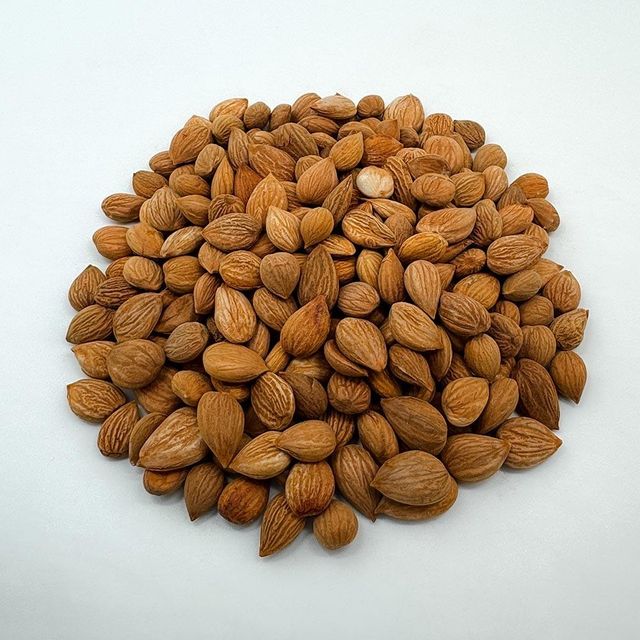 Natural Dehydrated Apricots Kernels Sourced From Reliable Farms With Hygienic Packing - Image 2