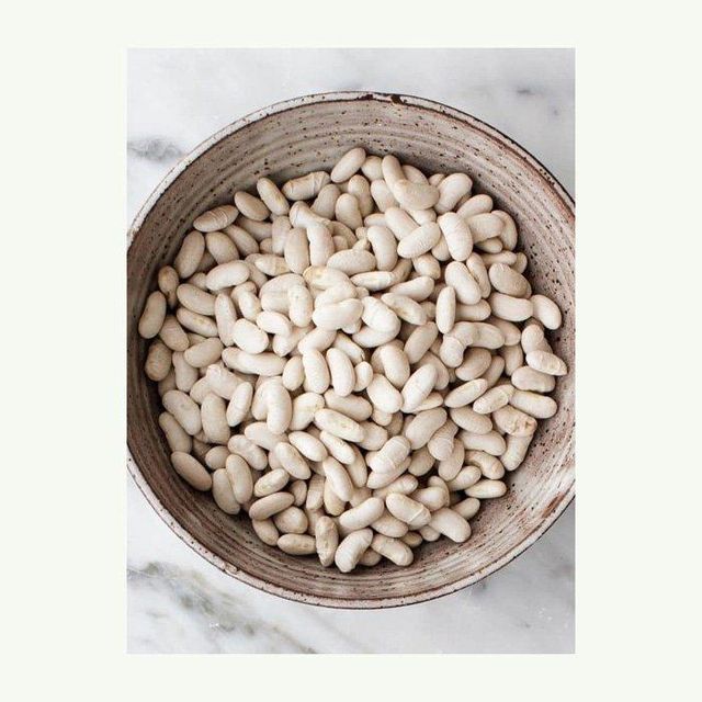 premium whole white beans for cooking soups stews chili salads and healthy recipes natural dried white beans rich in plant protein fiber iron and essential nutrients perfect for vegan vegetarian diets home kitchens restaurants and balanced everyday meals - Image 4