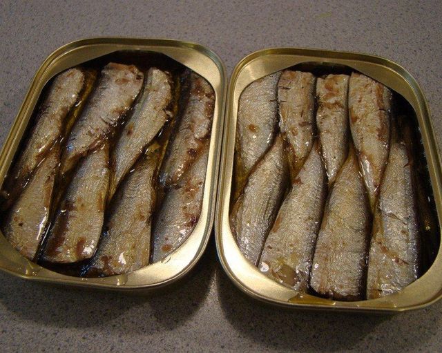 Bulk Sardine Fish Canned Vegetable Oil - Image 3