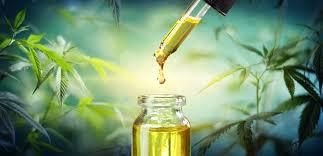 Potency Cannabis HPLC Organic Yes Origin Regional Features Organic Product Form Cannabis Potency Testing Method Hplc Packaging Size 1000kg, > 2000 g - Image 3