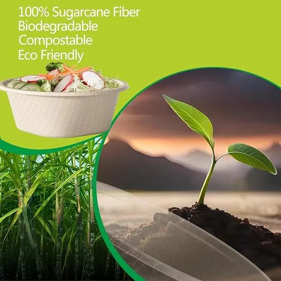 Free Sample Sugarcane Bagasse Custom Disposable Lunch Container Packing Box Paper Takeout Containers - Image 5