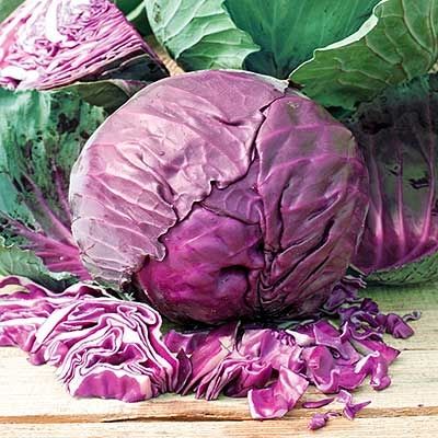 new organic red acre cabbage Content / Style Fresh Variety all Type Cabbage Weight (kg) 0 Ingredients / Address durban Shelf Life 1 - Image 4