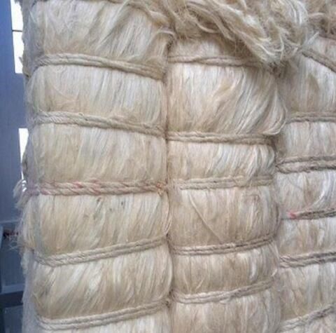 Natural Sisal Fibre - 110-130cm Length White and Cream Colors | Grade A Purity 98-99.5% Eco-Friendly - Image 5
