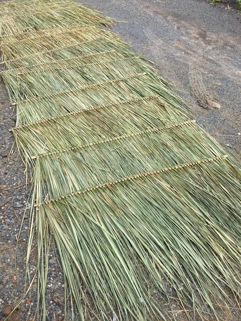 Dried Seagrass Raw Material Non-toxic Yes Origin Vietnam Material Seagrass Color Natural Dried Grass Form Roll, Panel, Tree Splint - Image 4