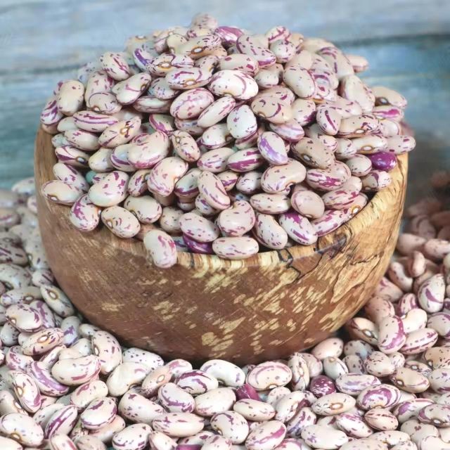 Light Speckled Dried Kidney Beans FD Process Bulk Packaging 25kg Gold Field 17% Moisture 2 Year Shelf Life for Sale - Image 5