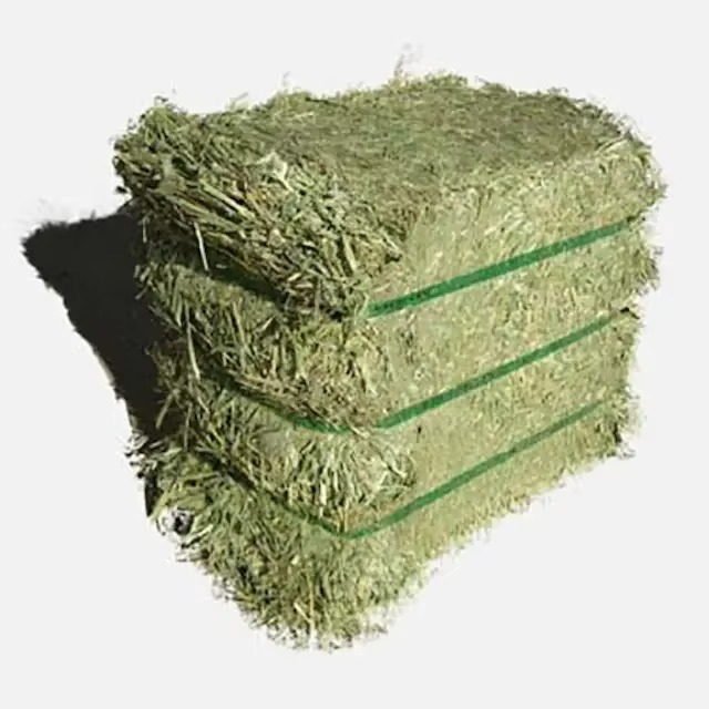 Natural Timothy Grass for Animal Feed Top Grade Timothy Grass Premium Hay for Farm Animals Rich in Fiber and Nutrients - Image 1