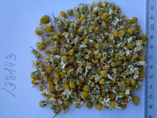 Chamomile Flowers (Matricaria chamomilla) – Premium European Quality - Image 1