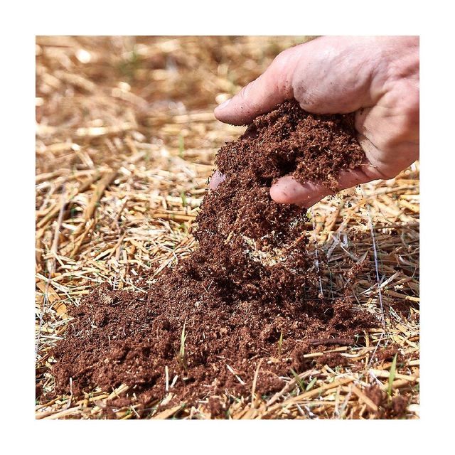 Wholesale peat moss available for potting soil and plant growth applications Premium quality peat moss - Image 1