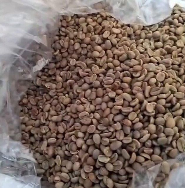 Coffee Green Bean Grade Class 1 Type Robusta and Arabica Green Coffee Beans Place of Origin Aceh, Jawa Tengah – - Image 2