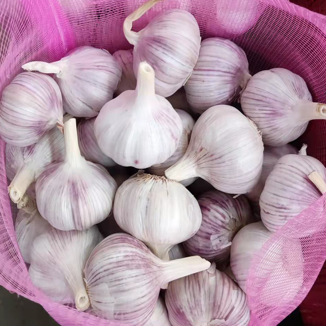 Fresh White Garlic - Image 3